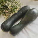 Zhengqing No.1 Black-skinned Pumpkin, 10 Seeds