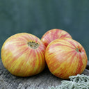 591 Dwarf DSA Tomato, 5 Seeds