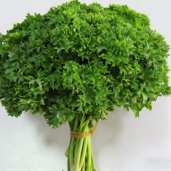 French Parsley Seeds, 2g