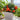 362 Florida Petite Tomato, 5 Seeds