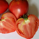 W954 Hungarian Heart Tomato, 10 Seeds