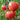 394 Fokusnik Tomato, 5 Seeds
