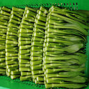 Meiqi No.2 Sweet Choy Sum Seeds, 10g