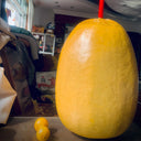 'Large Winter Melon' Gourd, 5 Seeds