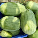 Green Phoenix F1 Giant Watermelon, 20 Seeds