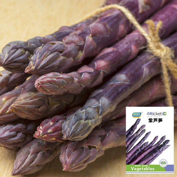 Purple Asparagus Seeds, 2g