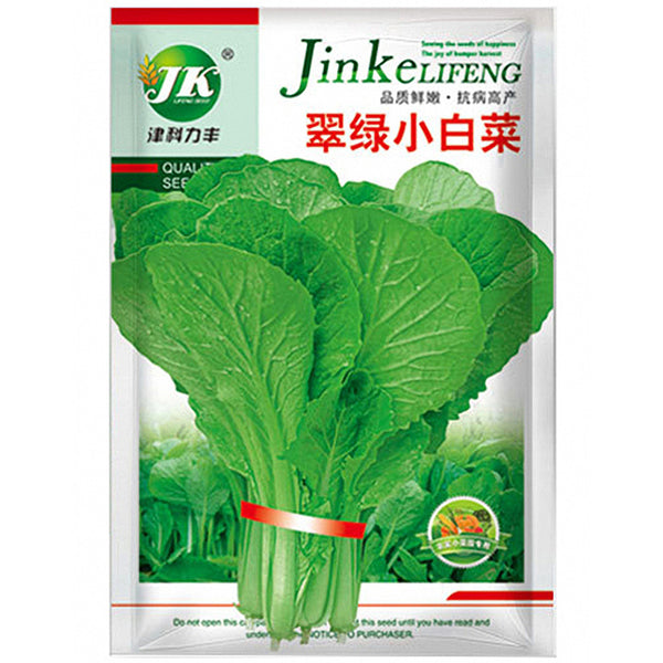 Emerald Green Baby Bok Choy Seeds, 5 × 10g Bags