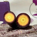 Purple Skin Yellow Flesh Carrot Seeds, 3g