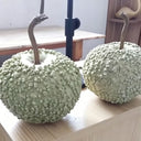 Man Tian Xing Gourd, 5 Seeds