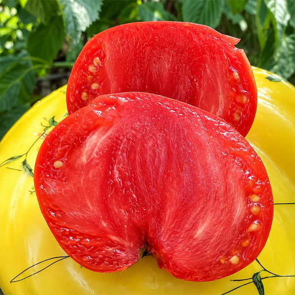 2 George Washington Tomato, 5 Seeds