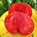 2 George Washington Tomato, 5 Seeds