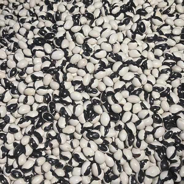 'Rabbit's White Eye' Oil Bean, 50 Seeds