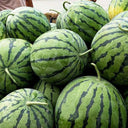 Snow Pear White Watermelon Seeds, 10g