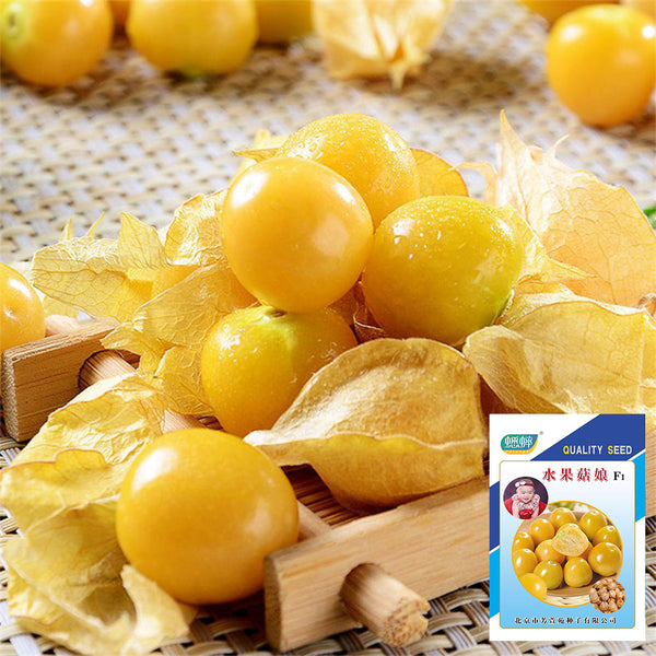 Groundcherry Seeds, 200 Seeds