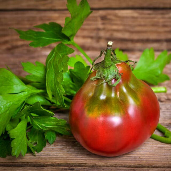 901 Wine Jug Tomato, 5 Seeds
