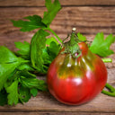 901 Wine Jug Tomato, 5 Seeds
