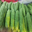 'Lvjinlong' Bitter Melon Seeds, 10g