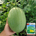 'Sweet Li' Yellow Flesh Watermelon Seeds, 20 Seeds
