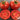 573 Tiny Totem Tomato, 5 Seeds