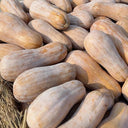 Mibao Pumpkin Seeds, 10g
