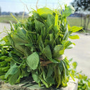 Jiemei Beardless Pea Shoots Seeds, 25g