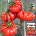 Giant Heirloom Pink Beefsteak Tomato Seeds, 20 Seeds